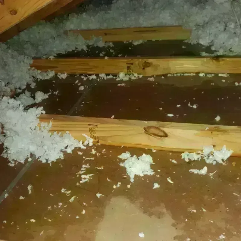 Attic Water Damage in Brocton, NY